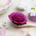 kosmetyki naturalne ogrody piękna