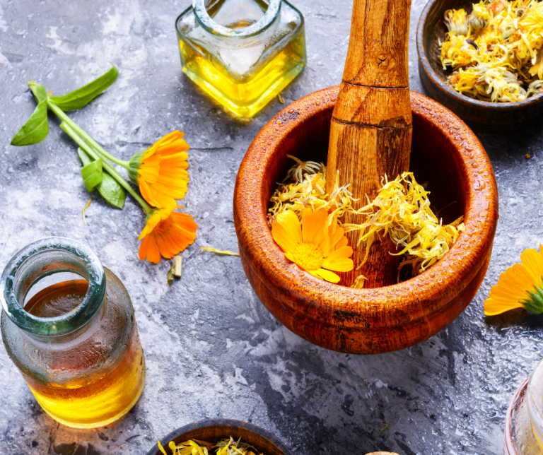 właściwości nagietka ogrody piękna