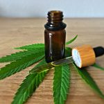 CBD ogrody piękna