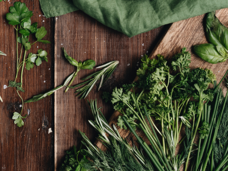 zioła na uspokojenie ogrody piękna