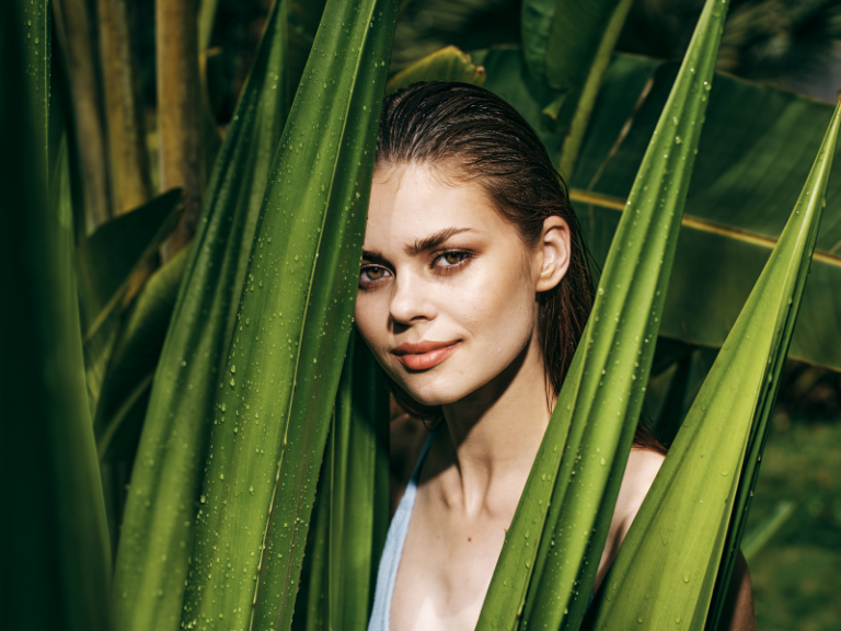 aloes domowe kosmetyki ogrody piękna