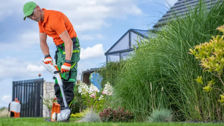 obrzeża trawnikowe ogrody piękna