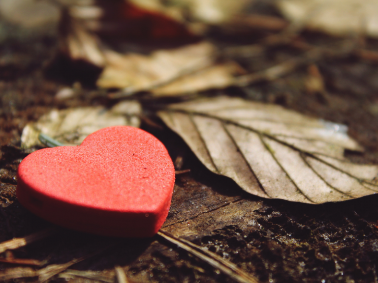 jak praktykować wdzięczność ogrody piękna