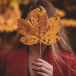 Pielęgnacja sezonowa ogrody piękna