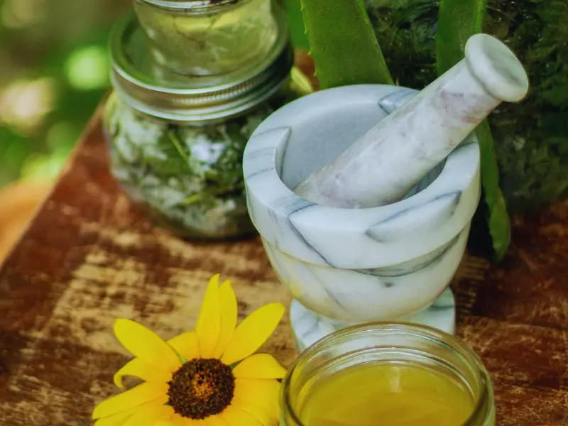 Aloes na twarz – domowe sposoby ogrody piękna